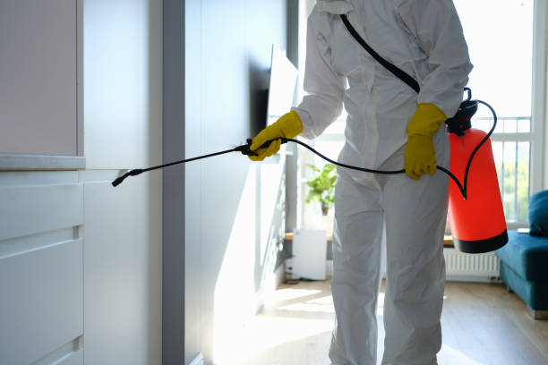Best Residential Mold Removal  in Monticello, AR