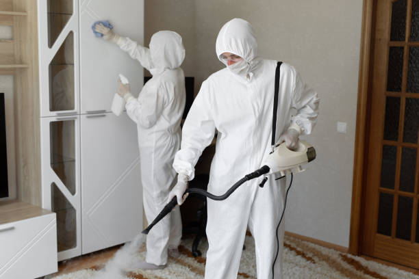 Mold Removal and Inspection in Monticello, AR