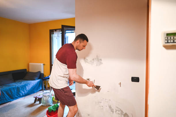 Best Attic Mold Removal  in Monticello, AR