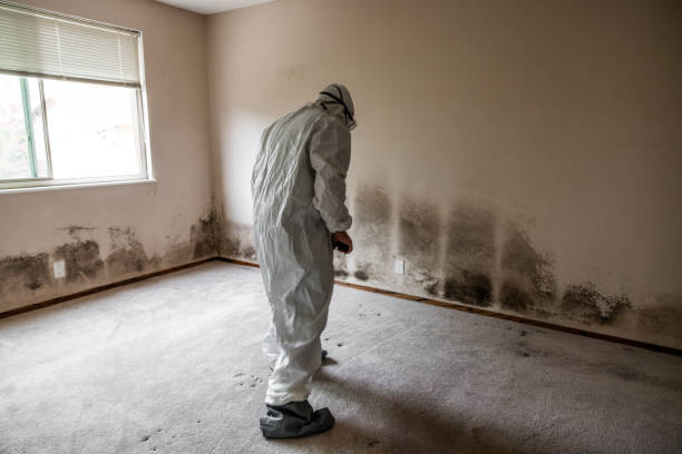 Crawl Space Mold Removal in Monticello, AR