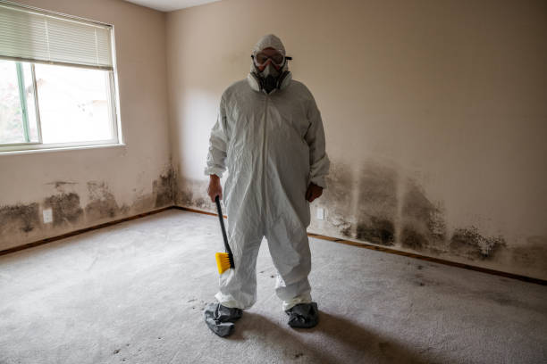 Best Emergency Mold Removal  in Monticello, AR